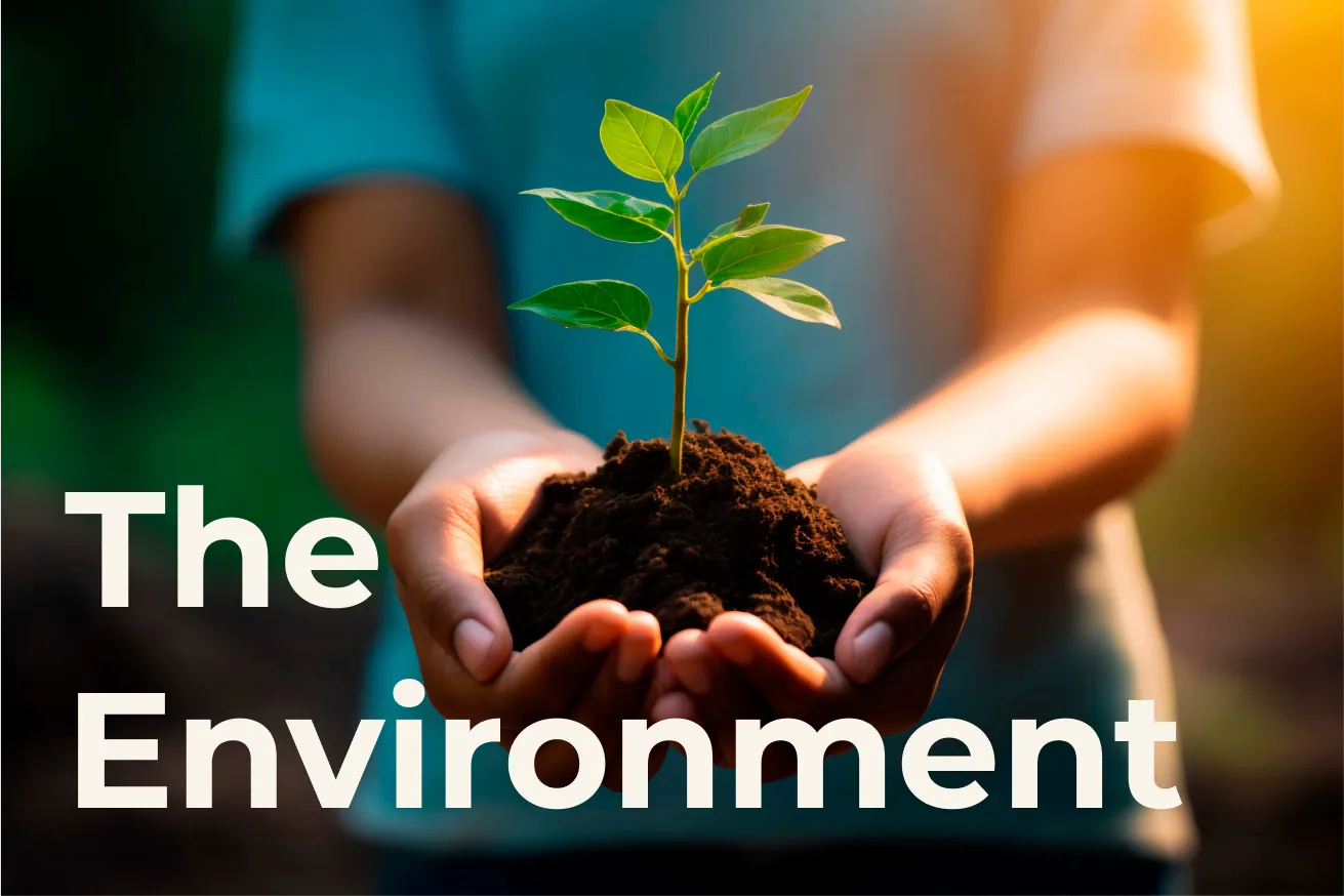 hands holding a sapling with text 'The environment' overlayed